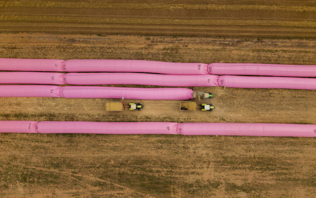 PINK GRAIN BAGS. A GREATER PURPOSE.
