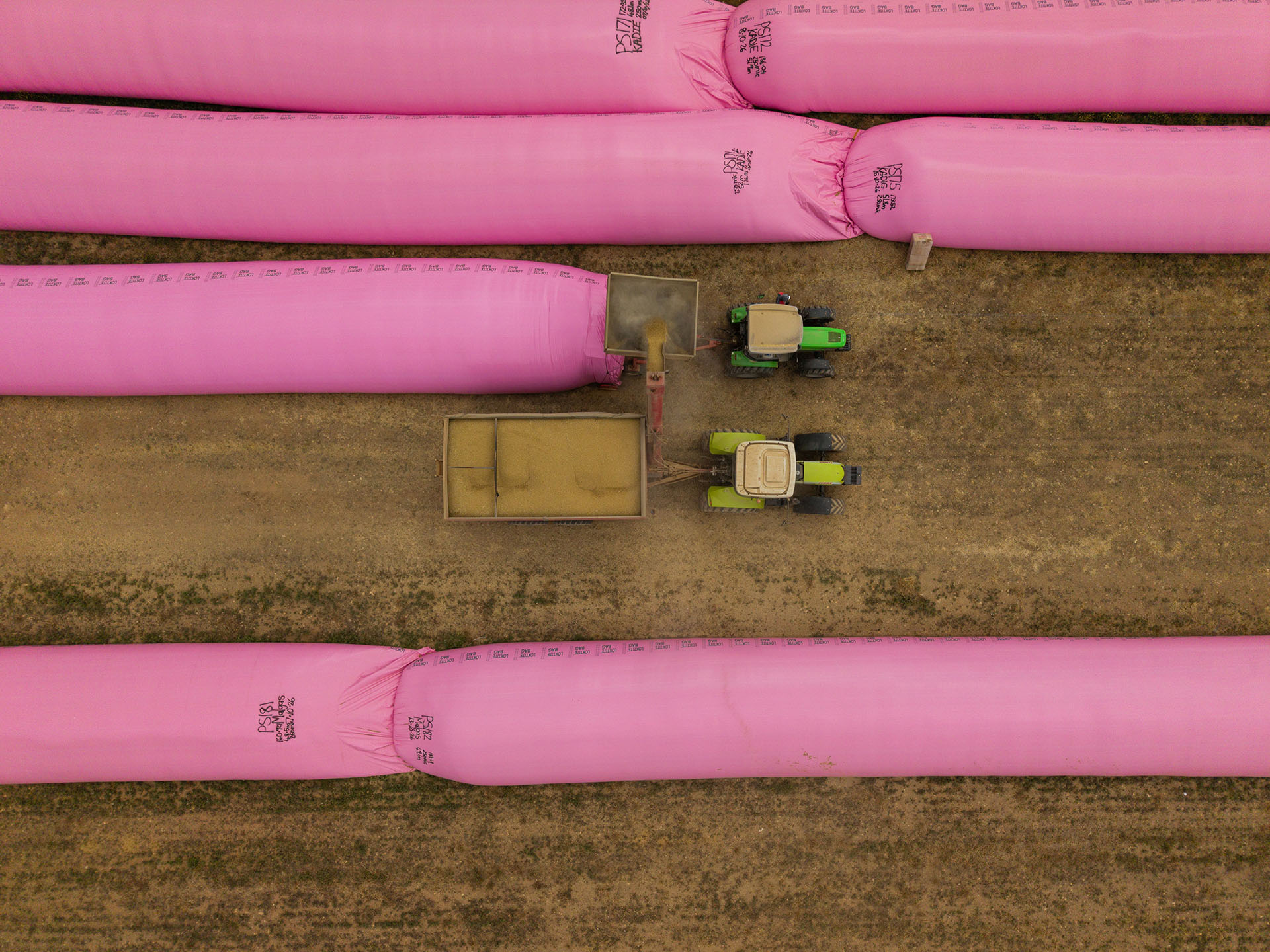 Overhead view of agricultural machinery working alongside pink grain storage bags.