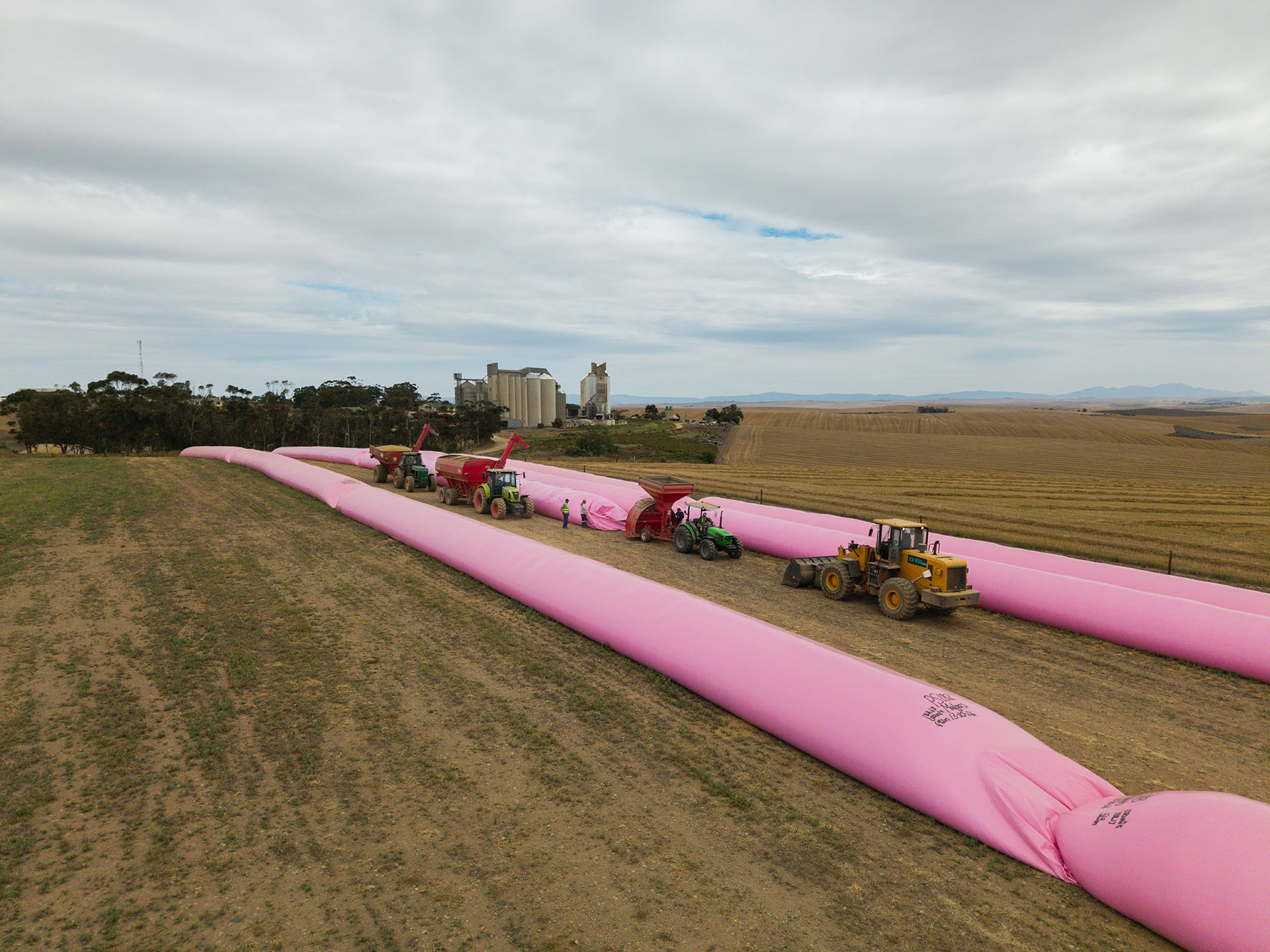 Agricultural machinery and workers filling pink grain storage bags at Overberg Agri's Protem facility.