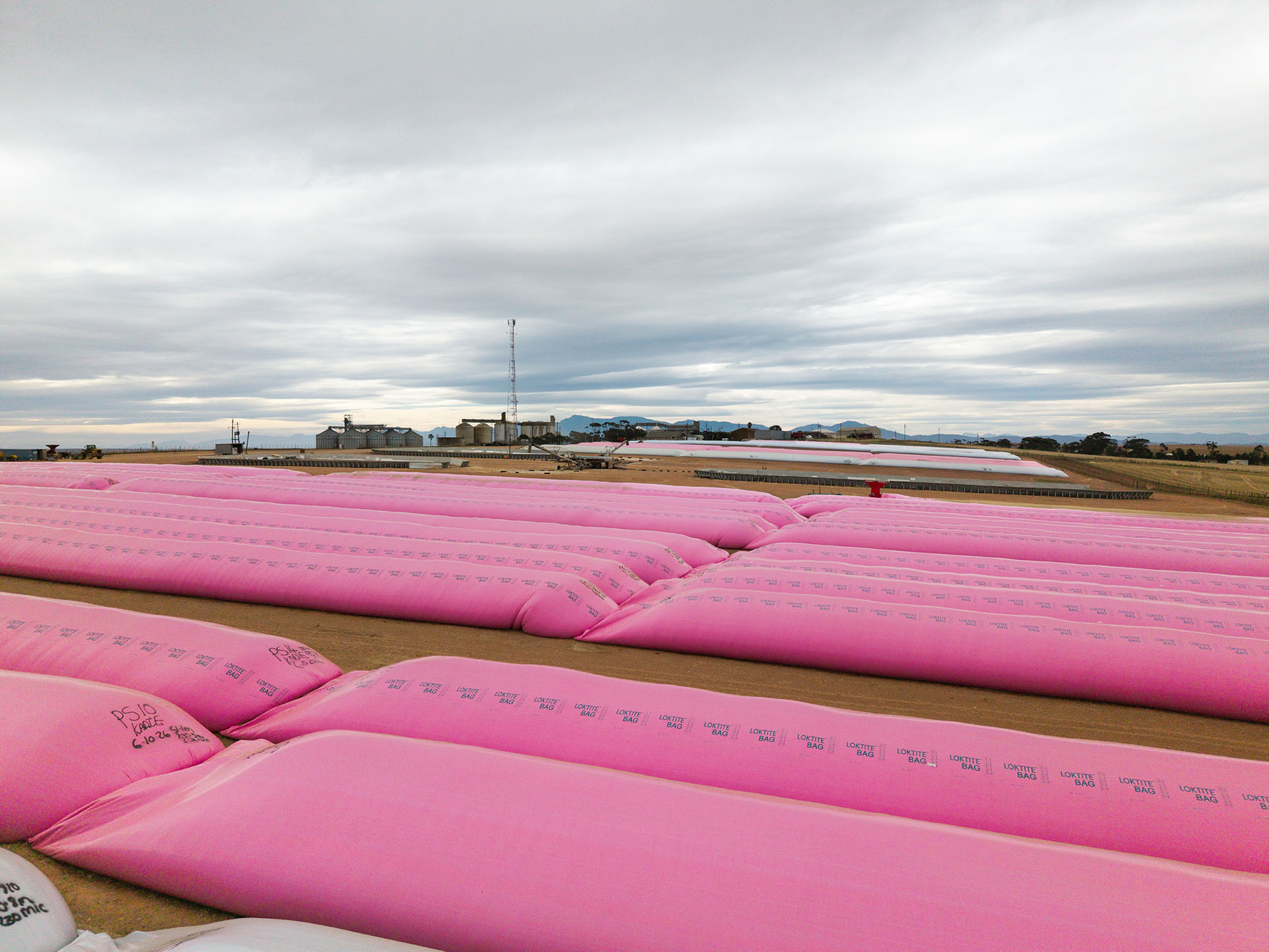 Pink grain bags at Protem with grain facilities visible in the distance.